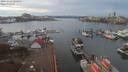 ./images/victoria/wharf/20191111/wharf20191111_124957.jpg