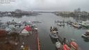 ./images/victoria/wharf/20191112/wharf20191112_081451.jpg
