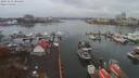 ./images/victoria/wharf/20191112/wharf20191112_104456.jpg
