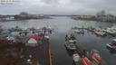 ./images/victoria/wharf/20191112/wharf20191112_105451.jpg