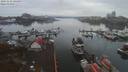 ./images/victoria/wharf/20191112/wharf20191112_124454.jpg