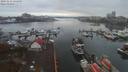 ./images/victoria/wharf/20191112/wharf20191112_125449.jpg