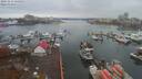 ./images/victoria/wharf/20191112/wharf20191112_125952.jpg