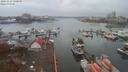 ./images/victoria/wharf/20191112/wharf20191112_130958.jpg