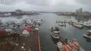 ./images/victoria/wharf/20191112/wharf20191112_131451.jpg