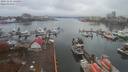 ./images/victoria/wharf/20191112/wharf20191112_131954.jpg