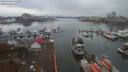 ./images/victoria/wharf/20191112/wharf20191112_132959.jpg