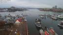 ./images/victoria/wharf/20191112/wharf20191112_163956.jpg