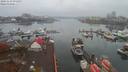 ./images/victoria/wharf/20191113/wharf20191113_075957.jpg