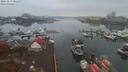 ./images/victoria/wharf/20191113/wharf20191113_081455.jpg