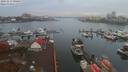 ./images/victoria/wharf/20191113/wharf20191113_090957.jpg