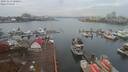 ./images/victoria/wharf/20191113/wharf20191113_100951.jpg