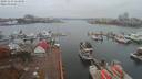 ./images/victoria/wharf/20191113/wharf20191113_113950.jpg