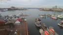 ./images/victoria/wharf/20191114/wharf20191114_104952.jpg