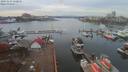 ./images/victoria/wharf/20191114/wharf20191114_130958.jpg