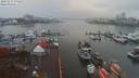 ./images/victoria/wharf/20191115/wharf20191115_075451.jpg