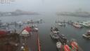 ./images/victoria/wharf/20191115/wharf20191115_075954.jpg
