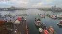 ./images/victoria/wharf/20191115/wharf20191115_090954.jpg