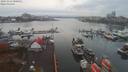 ./images/victoria/wharf/20191116/wharf20191116_080953.jpg