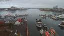 ./images/victoria/wharf/20191116/wharf20191116_083951.jpg
