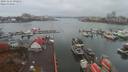 ./images/victoria/wharf/20191116/wharf20191116_092951.jpg