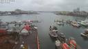 ./images/victoria/wharf/20191116/wharf20191116_093956.jpg