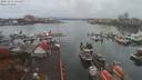 ./images/victoria/wharf/20191116/wharf20191116_101456.jpg