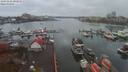 ./images/victoria/wharf/20191116/wharf20191116_102955.jpg