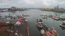./images/victoria/wharf/20191116/wharf20191116_104958.jpg