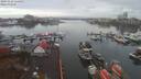 ./images/victoria/wharf/20191116/wharf20191116_114453.jpg