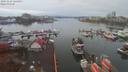 ./images/victoria/wharf/20191116/wharf20191116_121453.jpg