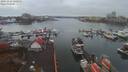 ./images/victoria/wharf/20191116/wharf20191116_122952.jpg