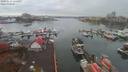 ./images/victoria/wharf/20191116/wharf20191116_124451.jpg