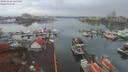 ./images/victoria/wharf/20191116/wharf20191116_125456.jpg
