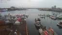 ./images/victoria/wharf/20191116/wharf20191116_135957.jpg
