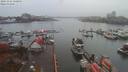 ./images/victoria/wharf/20191116/wharf20191116_150959.jpg