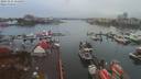 ./images/victoria/wharf/20191116/wharf20191116_155959.jpg