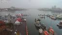./images/victoria/wharf/20191117/wharf20191117_081958.jpg