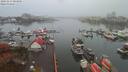 ./images/victoria/wharf/20191117/wharf20191117_084956.jpg