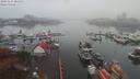 ./images/victoria/wharf/20191117/wharf20191117_085952.jpg