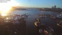 ./images/victoria/wharf/20191117/wharf20191117_160457.jpg