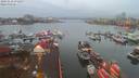 ./images/victoria/wharf/20191118/wharf20191118_072457.jpg