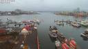 ./images/victoria/wharf/20191118/wharf20191118_072950.jpg