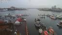 ./images/victoria/wharf/20191118/wharf20191118_124458.jpg