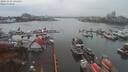 ./images/victoria/wharf/20191118/wharf20191118_131454.jpg