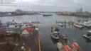 ./images/victoria/wharf/20191123/wharf20191123_093948.jpg