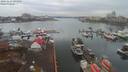 ./images/victoria/wharf/20191123/wharf20191123_094954.jpg