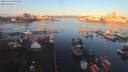 ./images/victoria/wharf/20191125/wharf20191125_082954.jpg