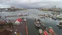 ./images/victoria/wharf/20191126/wharf20191126_081956.jpg