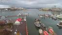 ./images/victoria/wharf/20191126/wharf20191126_082459.jpg